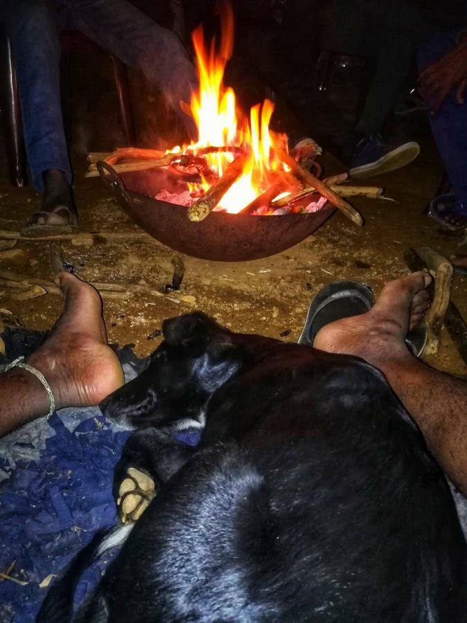 Eco Lodge Haputale-Camping Sri Lanka Extérieur photo